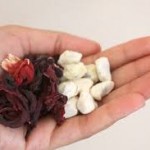 Go Africa® Kinkeliba Herbal Tea by Moriba, 20 sachets - Image 4