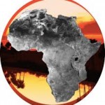 Go Africa® Kinkeliba Herbal Tea by Moriba, 20 sachets - Image 7